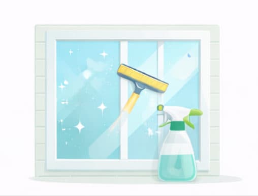 Professional window cleaning service