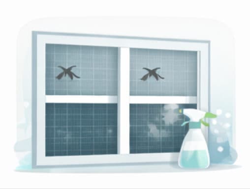 Window screen cleaning