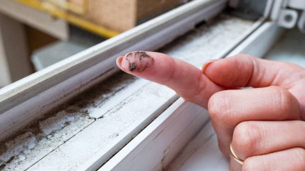 Pollen and allergens on a windowsill